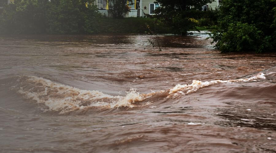 Why choose water damage restoration service for commercial water damage restoration in Paxtonma